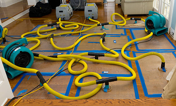 Professional Crawl Space Water Removal technician working in Bethalto, IL